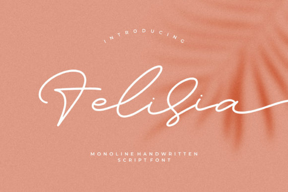 Felisia: A Graceful Script Font for Editorial Design