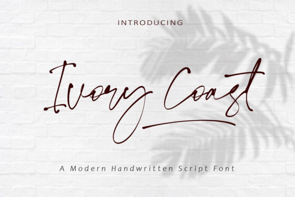 Ivory Coast: The Script Font for Scroll-Stopping Designs