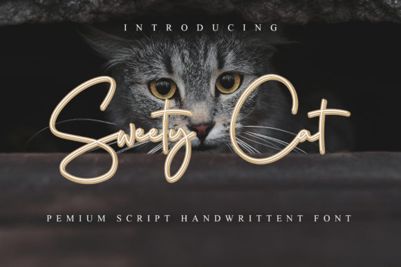 Sweety Cat Font: Elegant Script for Branding