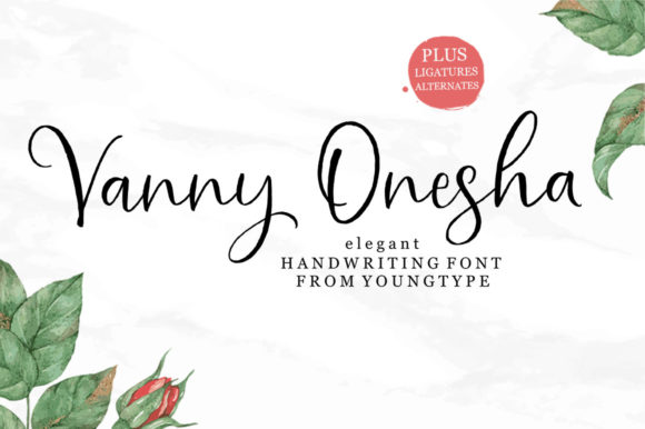 Vanny Onesha: The Script Font for Scroll-Stopping Marketing