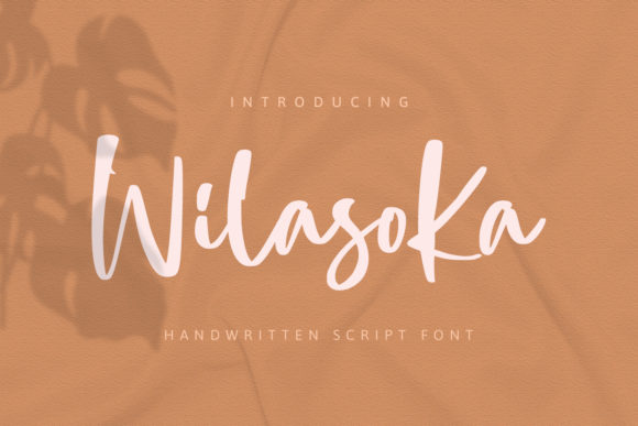 Wilasoka Typeface Review for Web Design